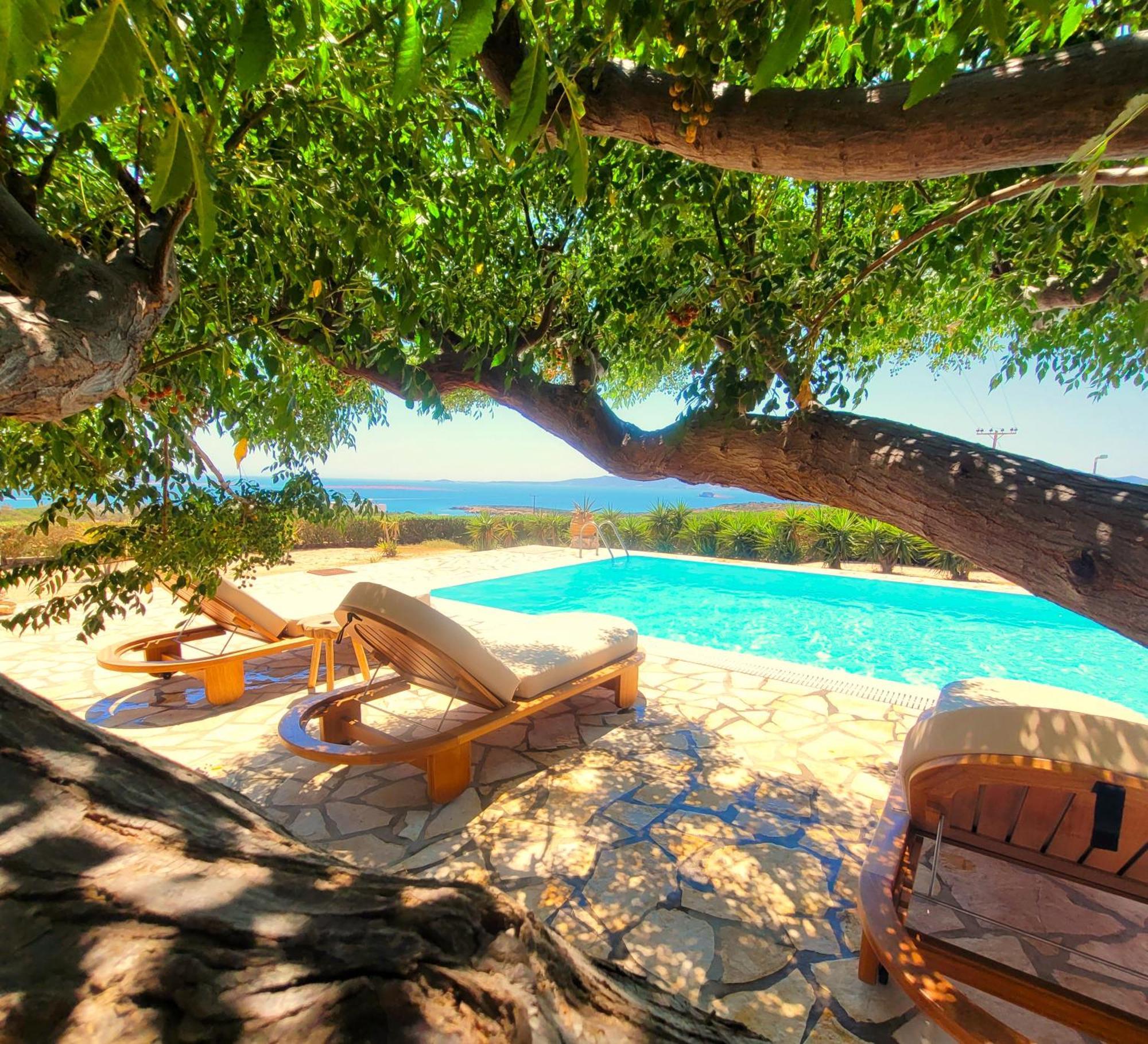 Paros Afrodite Luxury Villas Alikí Extérieur photo