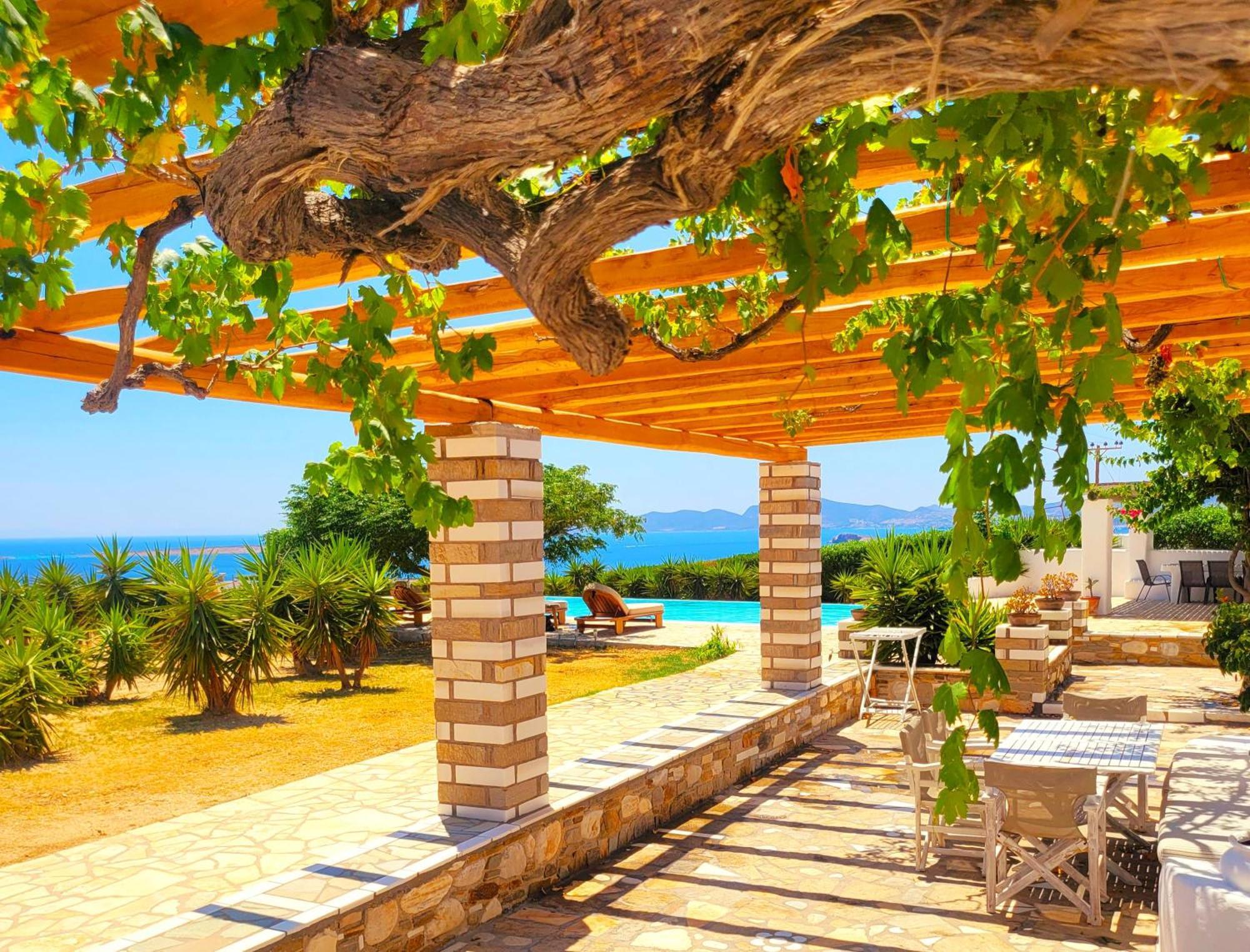 Paros Afrodite Luxury Villas Alikí Extérieur photo