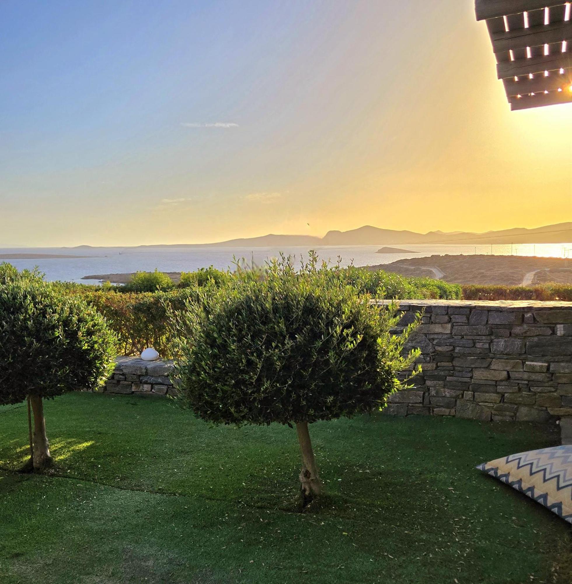 Paros Afrodite Luxury Villas Alikí Extérieur photo