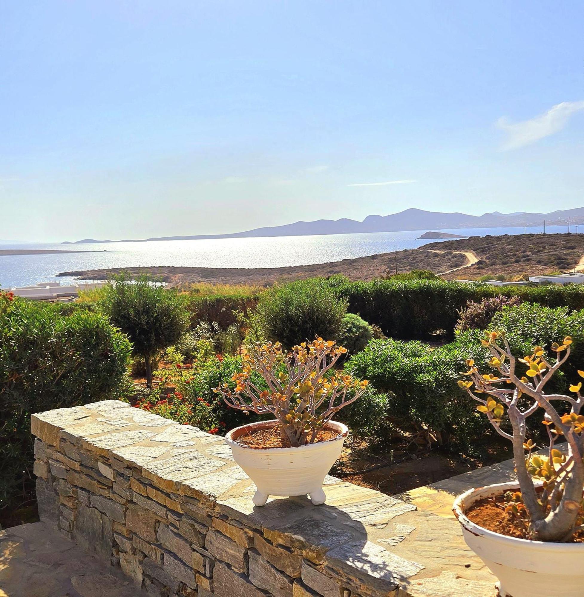 Paros Afrodite Luxury Villas Alikí Extérieur photo