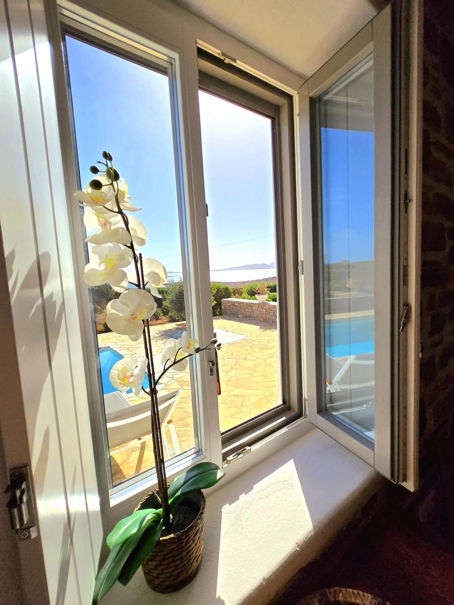 Paros Afrodite Luxury Villas Alikí Extérieur photo